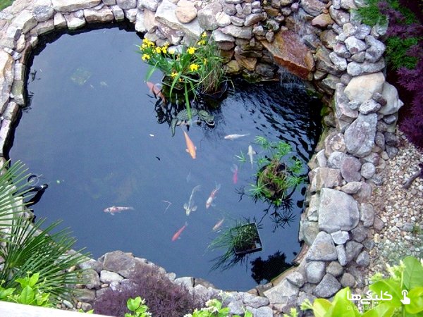 koi-pond-in-the-garden-tips-on-how-to-select-the-fish-pond-and-breed-8-681947064.jpg