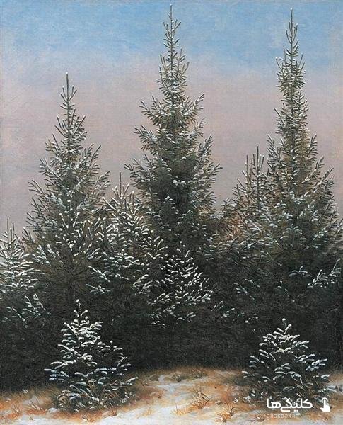 fir-trees-in-the-snow-1828.jpg!Large.jpg